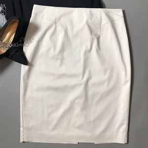 Ann Taylor Skirt EUC